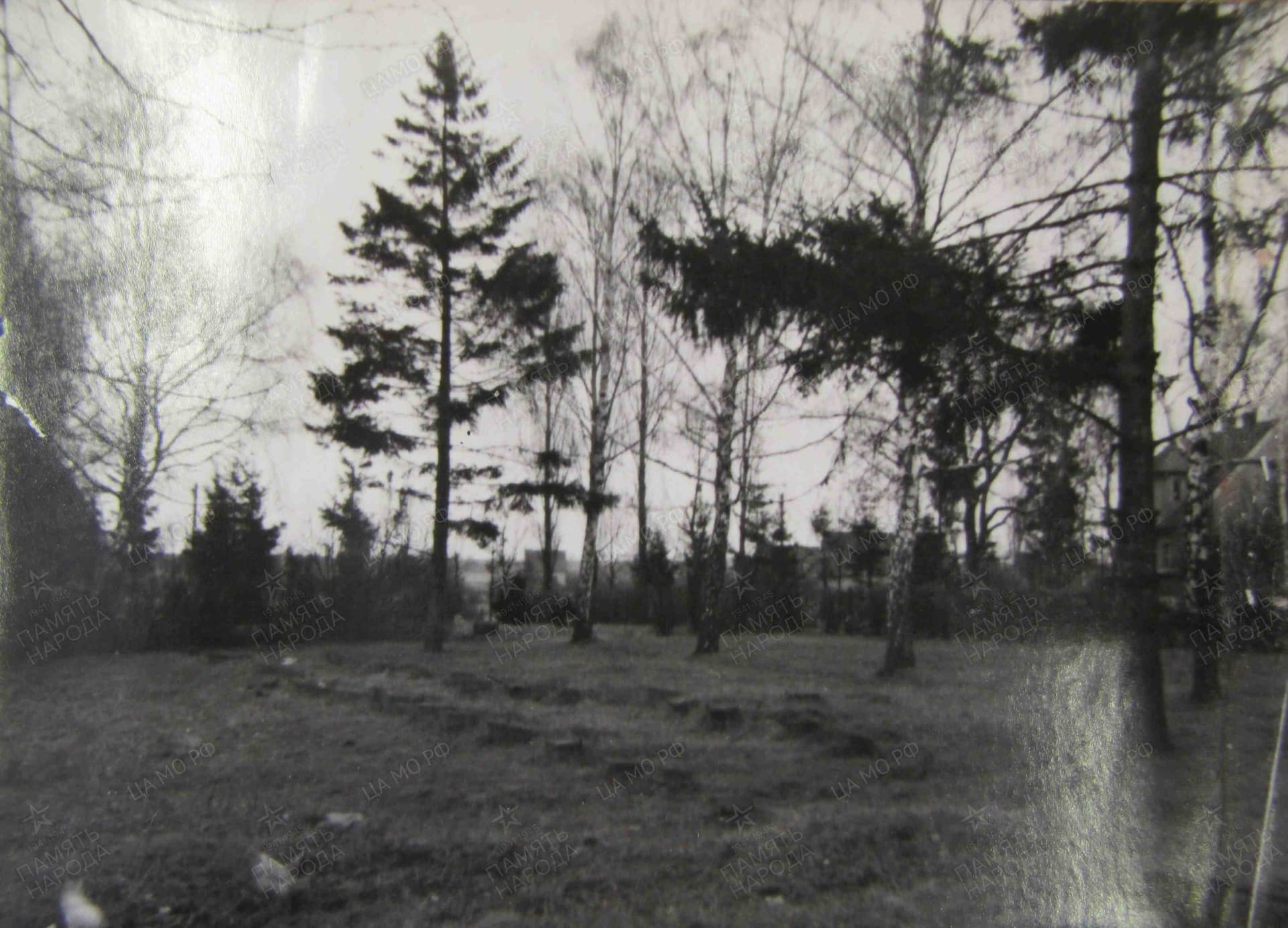 п14.jpg